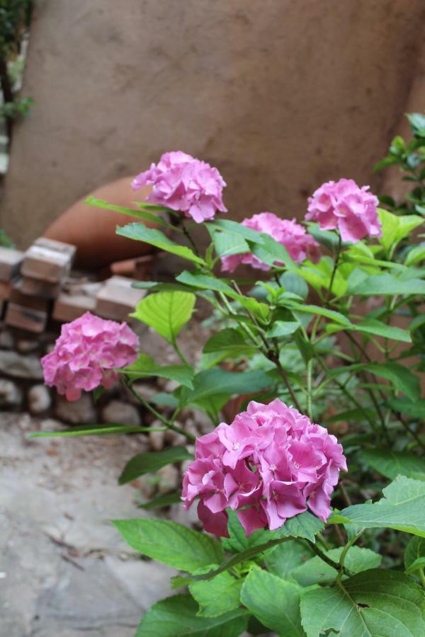 Il Giardino Dei Fiori Apartment Mandello del Lario Luaran gambar